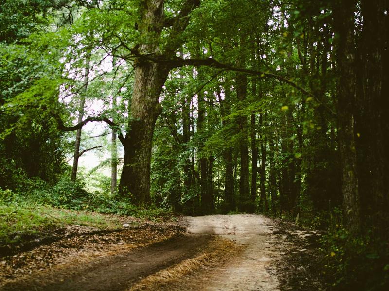 sudoku pattern learning screenshot 3